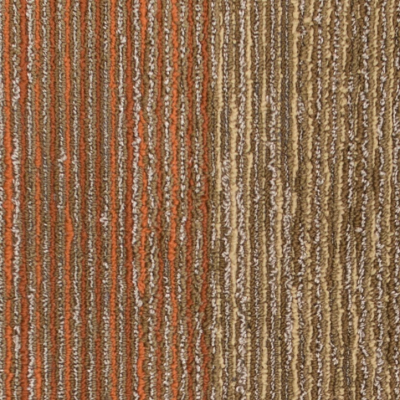 Expedition II Seismic Wave 138 30.48x91.44 cм