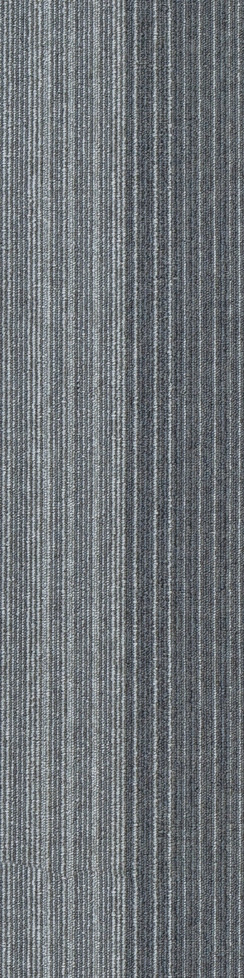 Colorline 3A 0.25*1.00 м