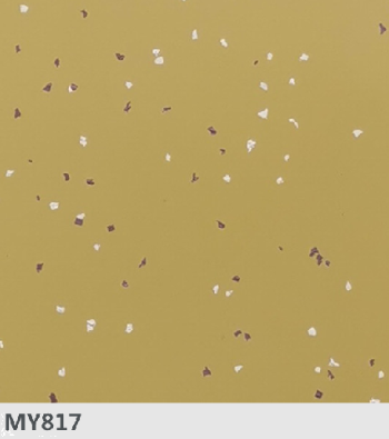 MY817
