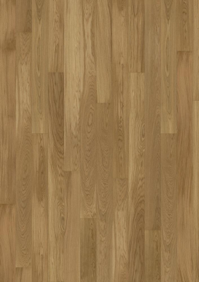 OAK STORY 138 ELEGANT, однополосный