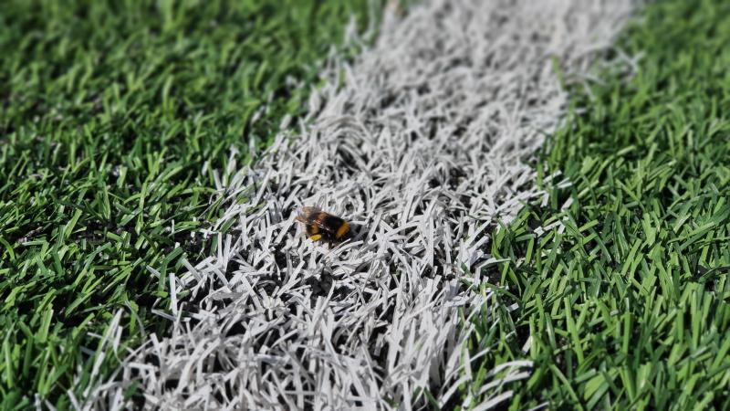 Рекомендации и нормы Укладка и эксплуатация спортивной искусственной травы