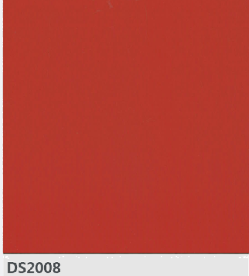 DS2008