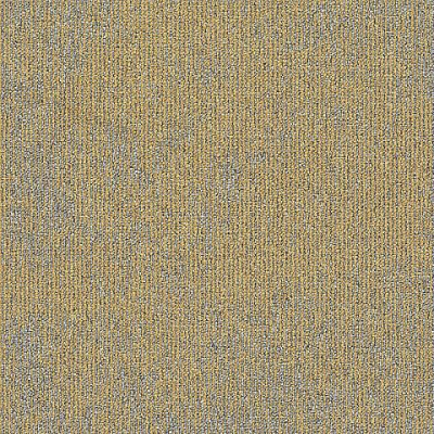 Glory 223 Titanium 0.5x0.5 m