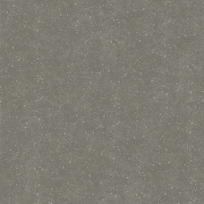 A01303 Cool Ash  50X50см