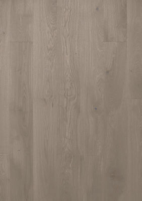 OAK STORY CAMELLIA DEEP MATT, однополосный