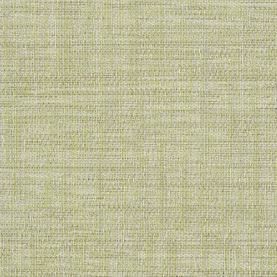 Myrthe, 500*500