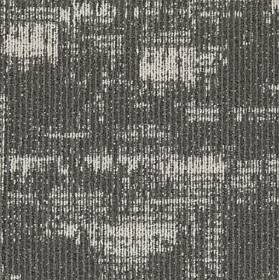 Negative 981 Fossil 0.5x0.5 m