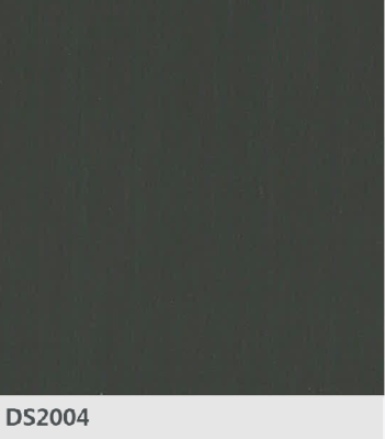 DS2004