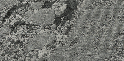 Wildlife 07 0.4572*0.9144 м