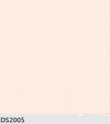 DS2005