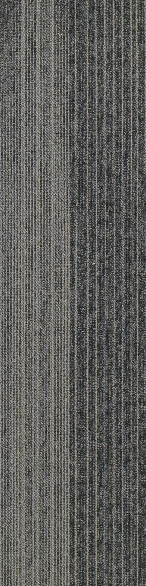 Colorline 5A 0.25*1.00 м