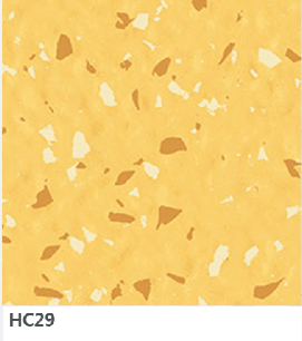 HC29