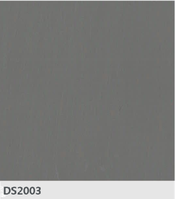 DS2003