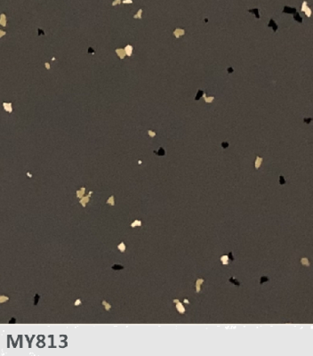 MY813