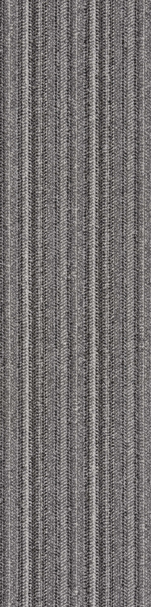 Space C02 0.25*1.00 м