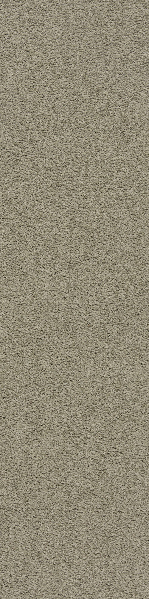 Colorkey 06 0.25*1 м