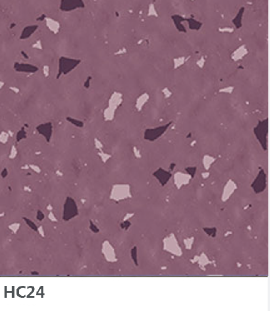 HC24