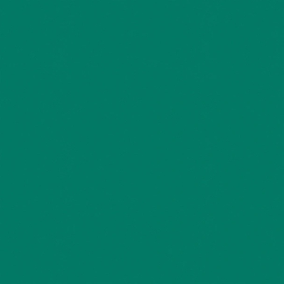 Omnisports Actions 65 Forest Green - 2,0 м