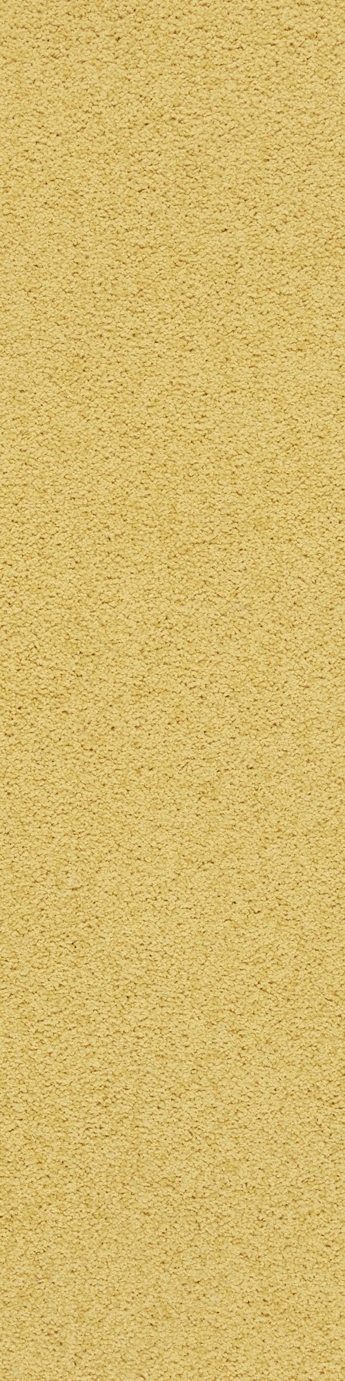 Colorkey 08 0.25*1 м