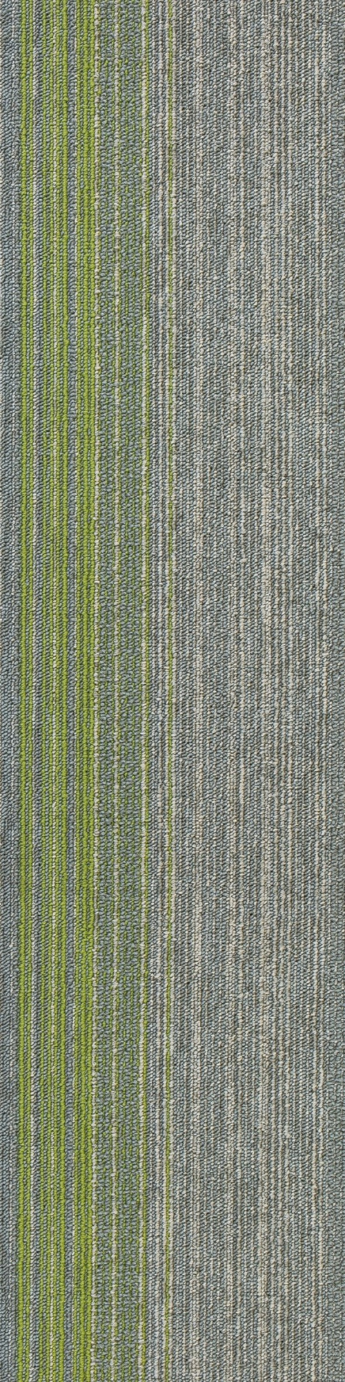 Colorline 1B 0.25*1.00 м