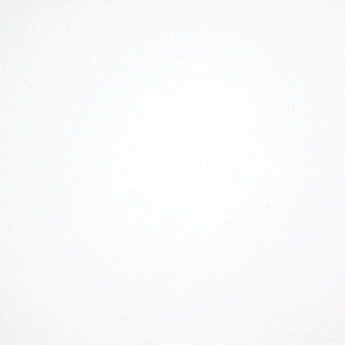 Панель OWA Premium Sanitas 02 Plain (Schlicht) K6 600х600х15 мм, белый, 10 шт./уп.