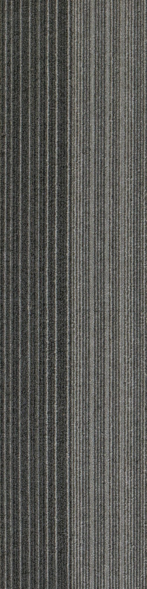 Colorline 6A 0.25*1.00 м