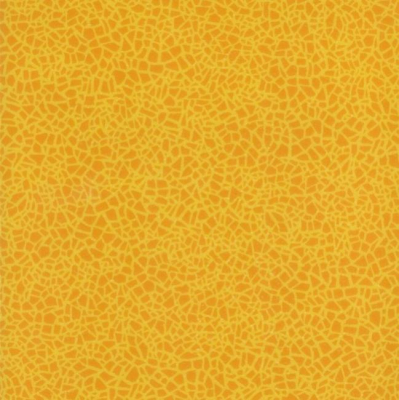 Acoustic 43 Mosaic 388-664-275 - 2 м