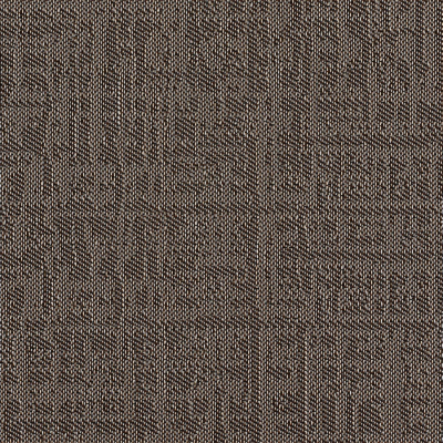 Coralie, 500*500