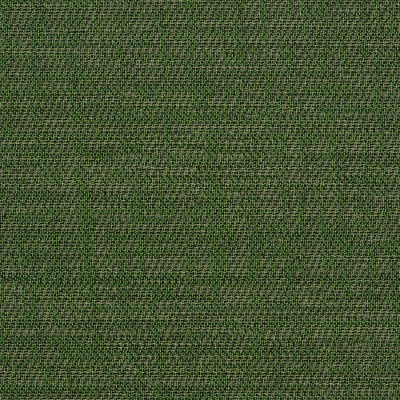 Hazel, 500*500