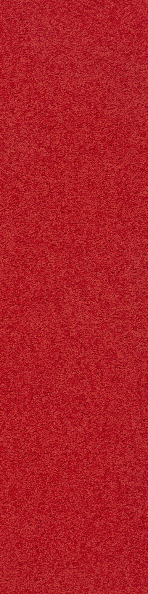 Colorkey 03 0.25*1 м