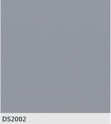 DS2002
