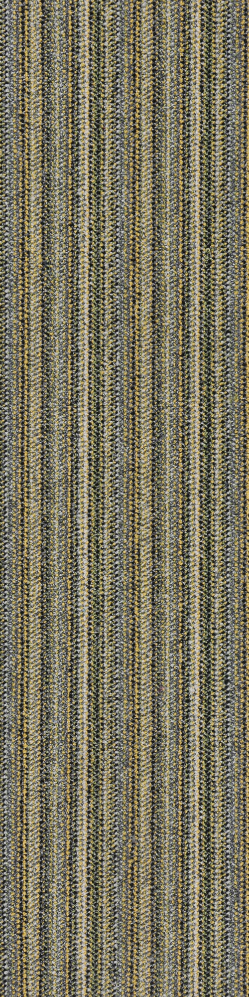 Space C05 0.25*1.00 м