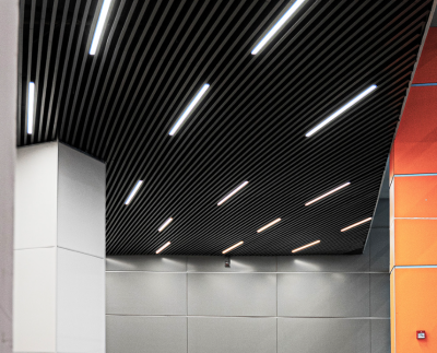 Кубообразная рейка GL Ш30/В100 RAL 7024 Zn 0,45 L=3.2 м