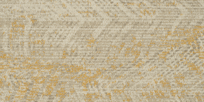 Trends 101 0.4572*0.9144 м