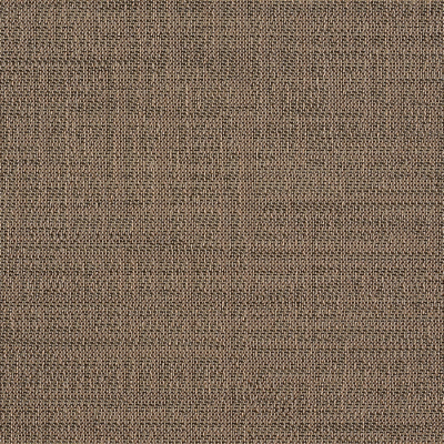 Sienna, 500*500