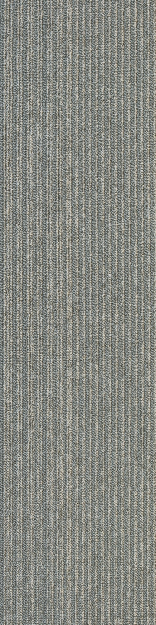 Colorline 1A 0.25*1.00 м
