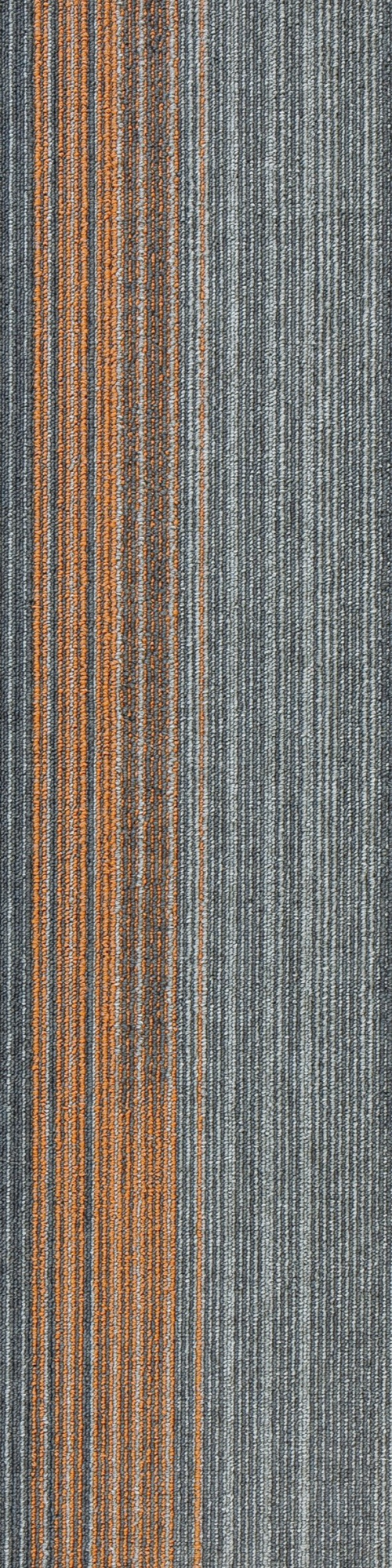 Colorline 3B 0.25*1.00 м