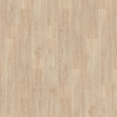 Домициан 1292Х194X8