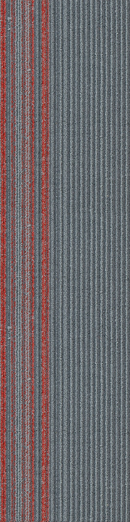 Colorline 4B 0.25*1.00 м