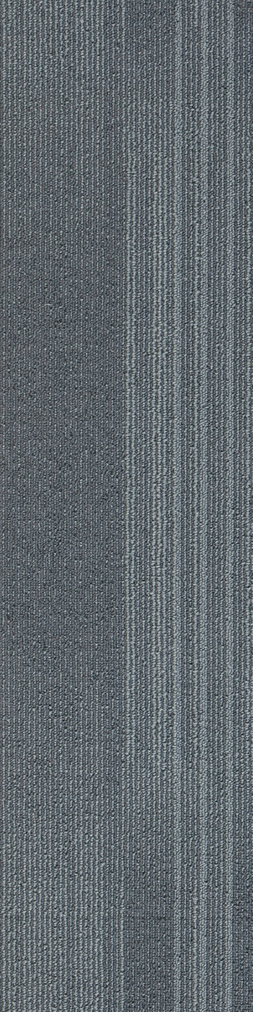Colorline 4A 0.25*1.00 м