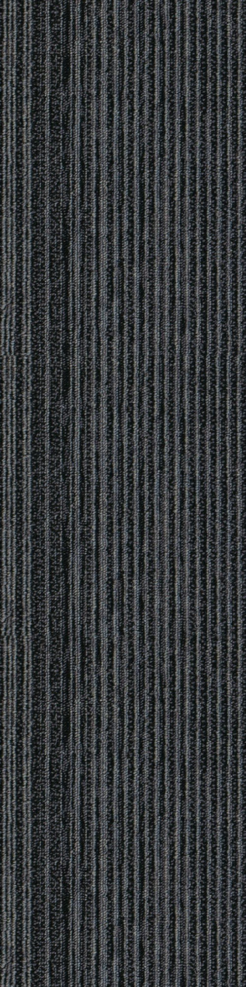 Colorline 8A 0.25*1.00 м