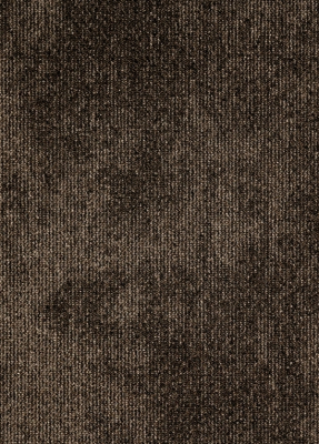 Rudiments Basalt 848 0,5х0,5 м