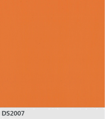 DS2007
