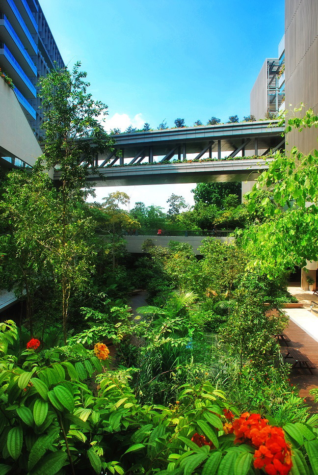 Landscape-and-Architecture_Source_CPG_ConsultantsPteLtd_opuscontract3.jpg Landscape-and-Architecture_Source_CPG_ConsultantsPteLtd_opuscontract3.jpg