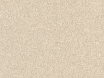 U119PE светло-бежевый (light beige)