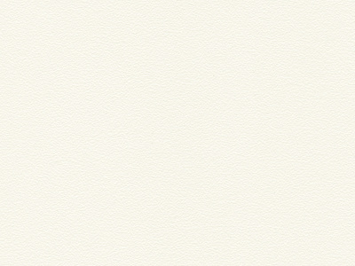 K101PE/K101PE белый (front white)